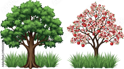 fruiting apple tree, blooming fruit tree, green leafy tree, plants in grass, seasonal garden illustration, fresh red apples, spring nature scene, orchard fruit trees, nature element set, tree with