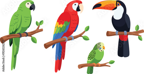 Tropical parrot and toucan vector set with exotic colorful birds perched on branches for wildlife jungle nature illustration design.