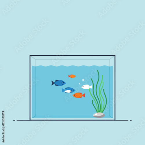 Aquarium with colorful fish swimming in clear blue water with green seaweed and a pebble