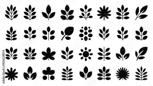 Collection of various black leaf and flower silhouettes on white background for design and branding use