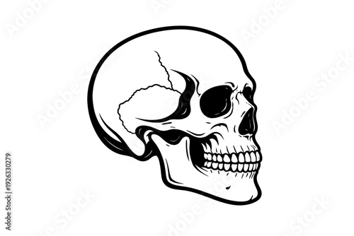 Detailed black and white human skull illustration, a stylized anatomical graphic perfect for gothic themes, Halloween decor, educational use, or bold tattoo designs. This skeletal image features sharp
