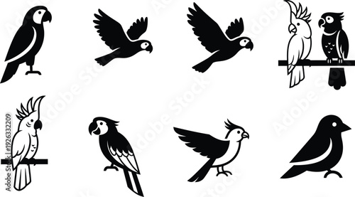 Eight black and white silhouette illustrations of parrots and cockatoos