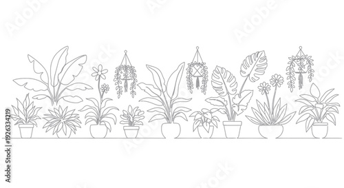 Collection of Houseplants in Pots and Hanging Baskets Line Art.