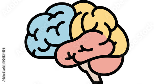 Colorful Human Brain Illustration Representing Thought and Intelligence.
