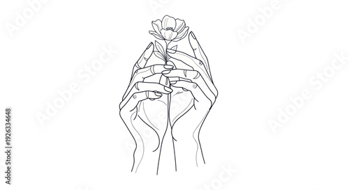 Delicate Hands Gently Cradle a Single Rose Bud in a Minimalist Line Art Drawing.
