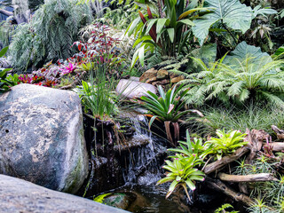 Wandcirkels Toilet Tropische tuin met stromend beekje  © Muhammad