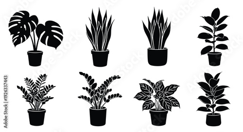 Black and white silhouette collection of various potted houseplants