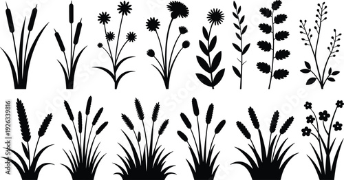 Wild grass and flower silhouettes collection, meadow plants reeds wheat floral botanical elements isolated black flat vector illustration
