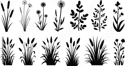 Wild grass and floral silhouettes collection, meadow reeds wheat botanical plants isolated black nature flat vector illustration