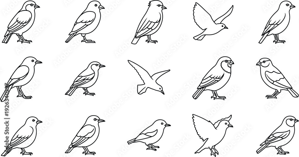 Fototapeta premium seamless background with birds