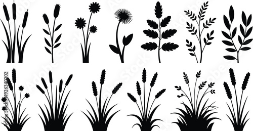 Wild meadow grass and flower silhouettes set, botanical plants reeds wheat floral elements isolated black flat vector illustration