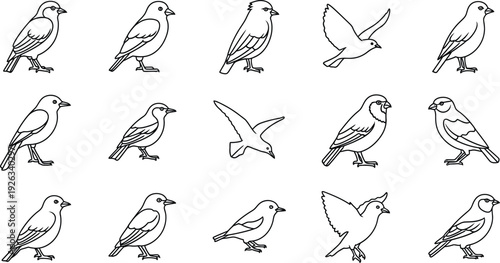 seamless background with birds