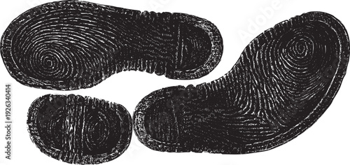 Black ink textured footprints on white background