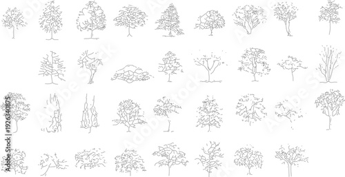 Collection of hand drawn black and white tree outlines