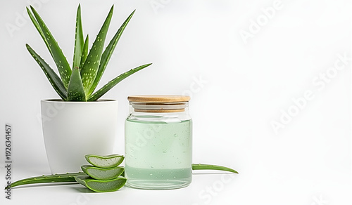 A clean and fresh still life of an aloe vera plant with sliced leaves and natural gel in a glass jar on a white background. This image represents skincare, herbal beauty, and organic wellness concepts