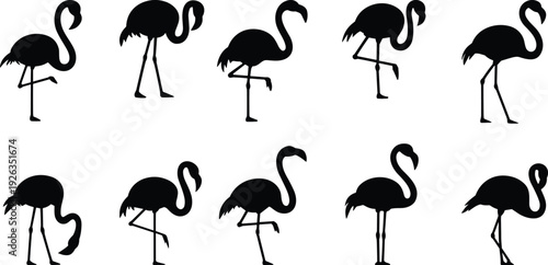 Black flamingo silhouette collection featuring different poses and graceful standing positions, perfect for tropical summer designs, wildlife themes and minimalist decor