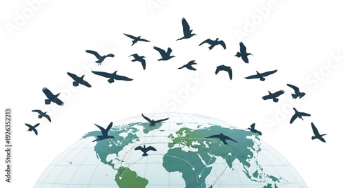 Flock of birds flying around the earth globe symbolizing freedom and global travel on white background
