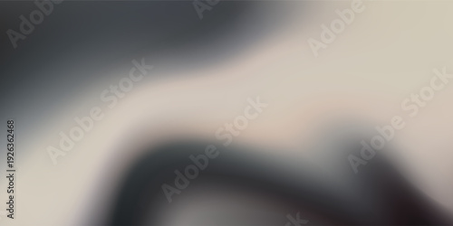 Abstract Black and White Gradient Mesh Background with Soft Vertical Blurring