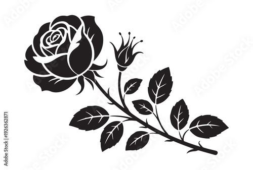 Elegant rose silhouette with flower bud and green leaves isolated on white background for floral branding