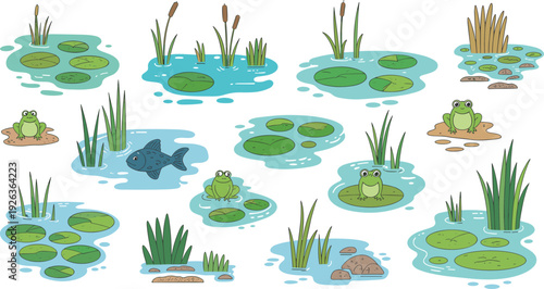 Cartoon pond scene elements set with frogs fish lily pads and reeds, flat freshwater nature vector collection
