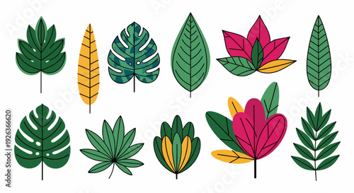 Tropical leaves and abstract exotic plan vector design elements on the white background