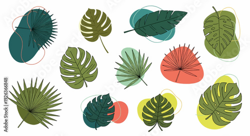 Tropical leaves and abstract exotic plan vector design elements on the white background