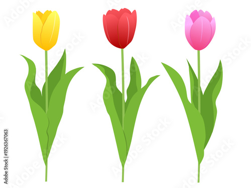 3色のチューリップのイラストセット（赤・黄・ピンク）