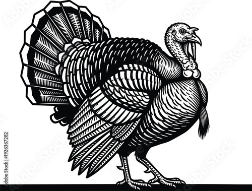 Black and white turkey engraving illustration, vintage bird silhouette for Thanksgiving, hand drawn farm animal vector, rustic poultry woodcut design, festive harvest graphics