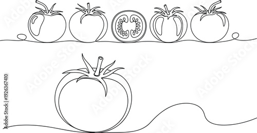Fresh Tomato Line Art Illustration with Whole and Sliced Tomatoes in Outline Style for Organic Food, Farm Produce, and Healthy Cooking Design