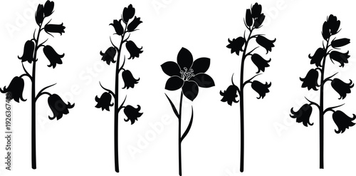 Black floral silhouettes of bellflowers and lilies on white background, elegant botanical set for nature patterns, wedding invitations, and garden designs