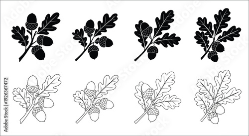 Black and white illustrations of oak leaves with acorns arranged in rows