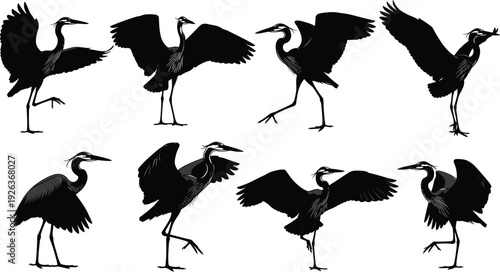 Heron Silhouette Vector Set with Crane Bird Illustrations of Flying and Standing Poses for Wetland Nature Wildlife and Waterfowl Design,