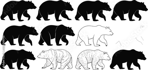 Grizzly Bear Silhouette Vector Set with Brown Bear Walking Illustrations and Line Art Outlines for Wildlife Nature and Forest Design,