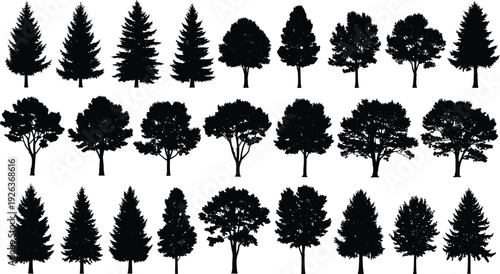 Tree Silhouette Vector Set with Pine Spruce and Deciduous Forest Tree Illustrations for Nature Landscape Design and Woodland Environment Graphic Elements,