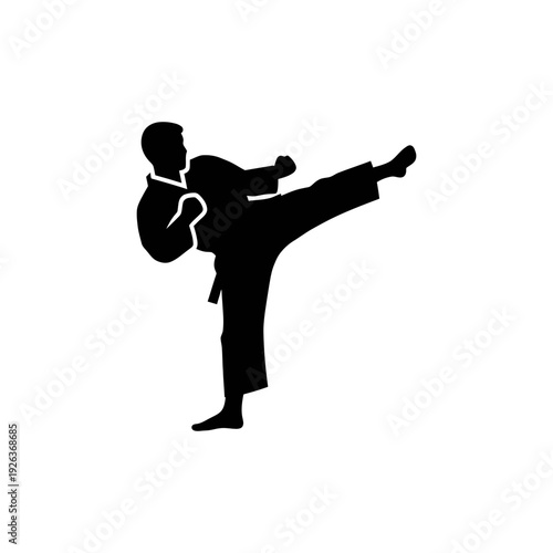 Martial arts athlete executing a powerful kick in fighting stance