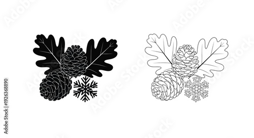 Botanical illustrations of oak leaves pine cones and a snowflake in black and white