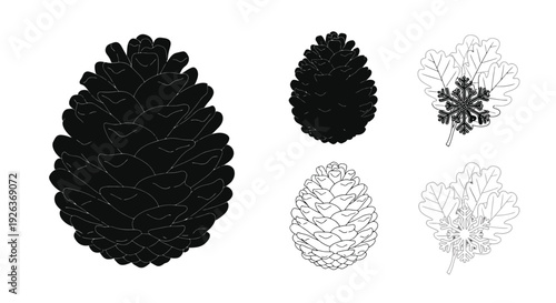 Black and white botanical illustrations of pine cones and leaves