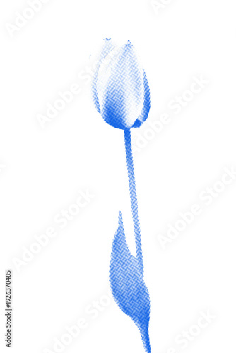 Vintage Halftone Tulip flower. Blue Cyanotype Style Dithered Botanical collage scrapbook element. Vector Illustration.