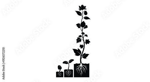 A black silhouette of plant growth stages from seed to bloom silhouette