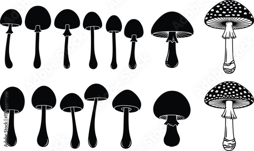 Collection of stylized mushroom silhouettes featuring diverse caps, stems, and gills including Amanita muscaria for botanical studies, mycology, and creative artwork