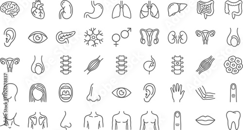 Human anatomy icon collection, organs, body parts, medical symbols, educational illustration, brain, heart, lungs, muscles, skeleton, healthcare design inspiration