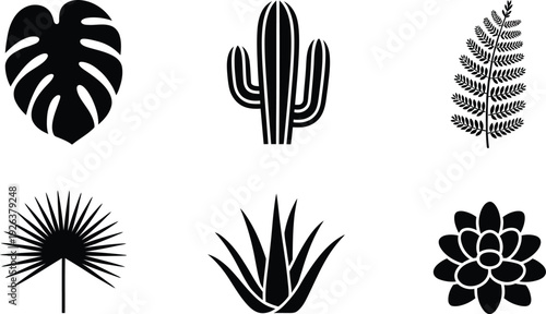 Black and white icons of various desert plants and tropical leaves, including cactus, aloe, monstera, and fan palm.