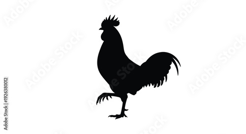 A striking black rooster profile against a white background silhouette