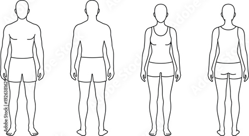 Detailed human anatomy circulatory and digestive system diagrams, male and female body silhouettes, and modern city skyscraper skyline vector illustrations.