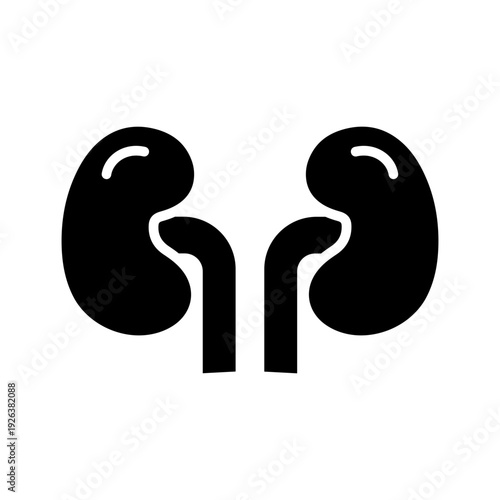 Kidneys Vector Icon