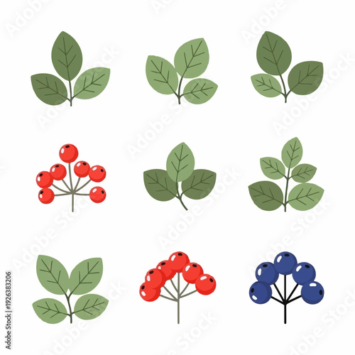 Collection of stylized botanical elements including various green leaves, red berries, and blue fruit clusters isolated on white.