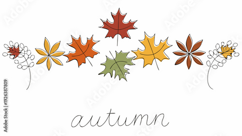 A collection of colorful autumn leaves and delicate flowing vines