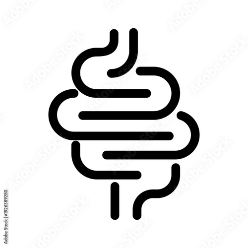 Digestive System Vector Icon