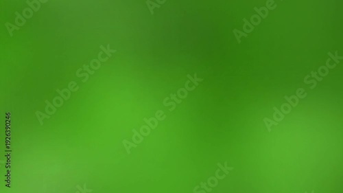 A seamless looping background featuring soft, out-of-focus green colors, resembling natural foliage. This calming and serene backdrop is perfect for various design projects or as an overlay.