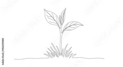 Minimalist single drawing of a young plant sprout growing from grass with gentle curves